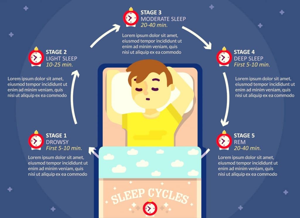 Stages Of Sleep And Sleep Cycles Explained Infographi